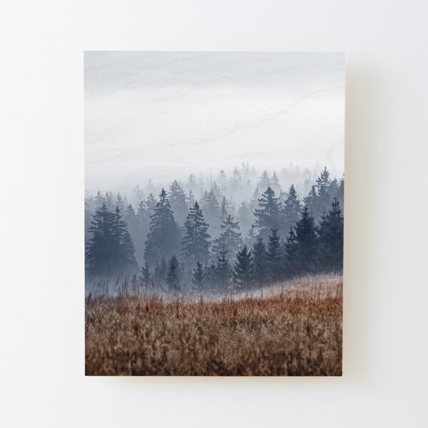 Lost In Fog Wood Mounted Print