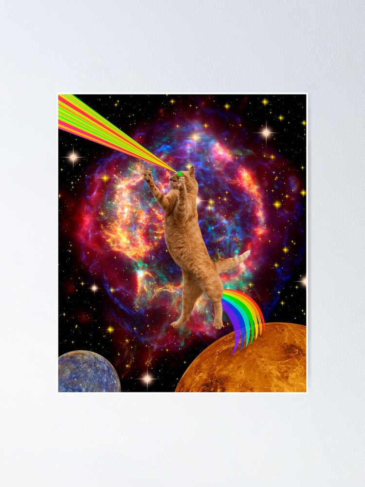SPACE CAT