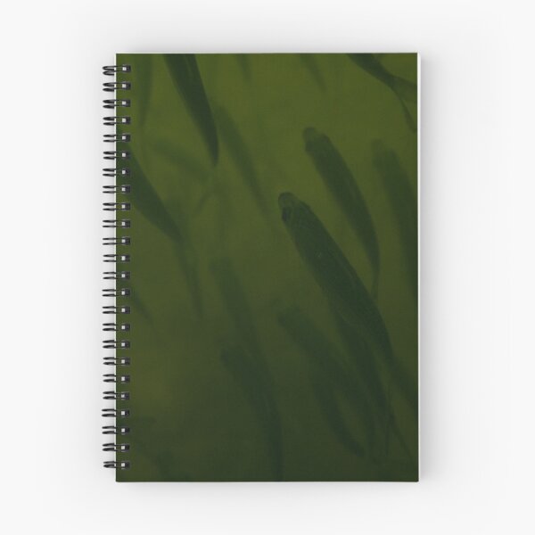 Item preview, Chive designed and sold by Maddie4Real.