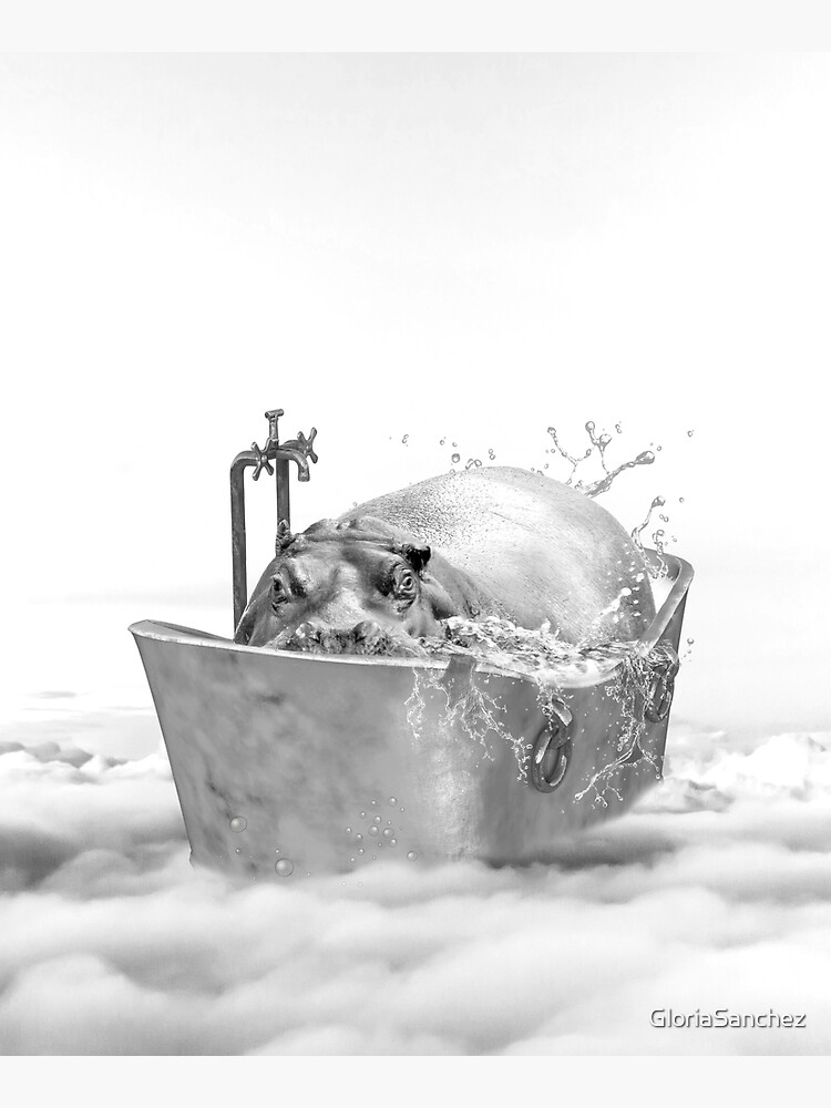 HIPPO BATH by GloriaSanchez