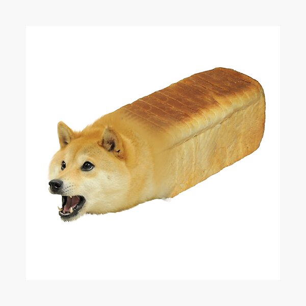 Bread Doge Gifts & Merchandise | Redbubble