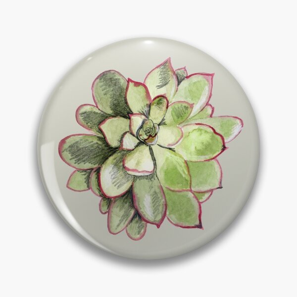 Item preview, Echeveria designed and sold by crumpsticks.