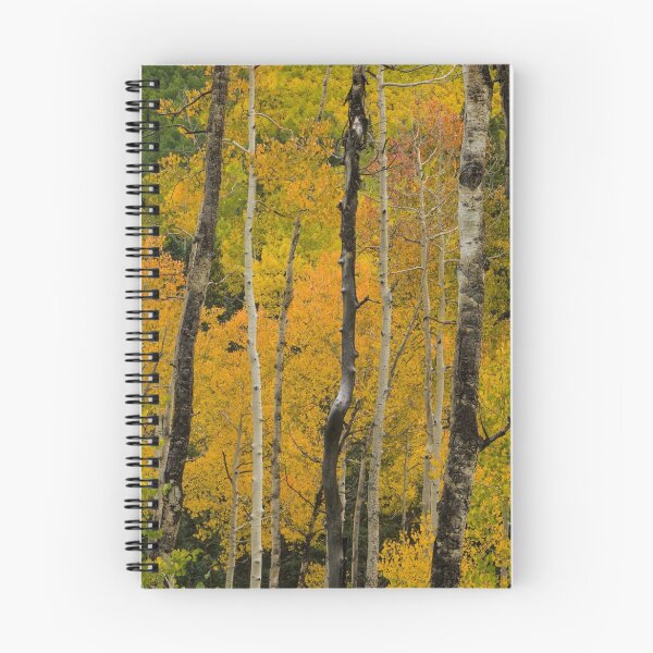 Item preview, Red In The Aspen designed and sold by Gary Benson.