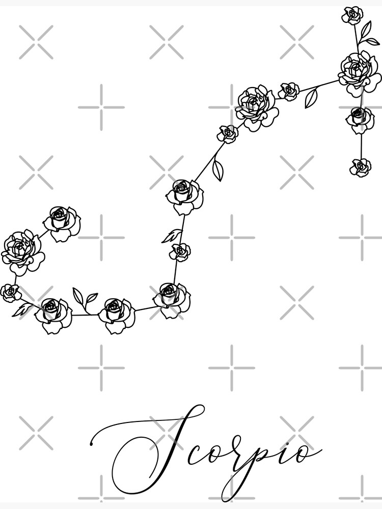 "Scorpio zodiac constellations flower line print. Minimalist print