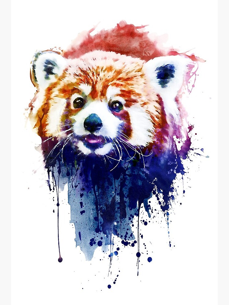 A Cute Red Panda Art Board Print For Sale By Caracatita75 Redbubble