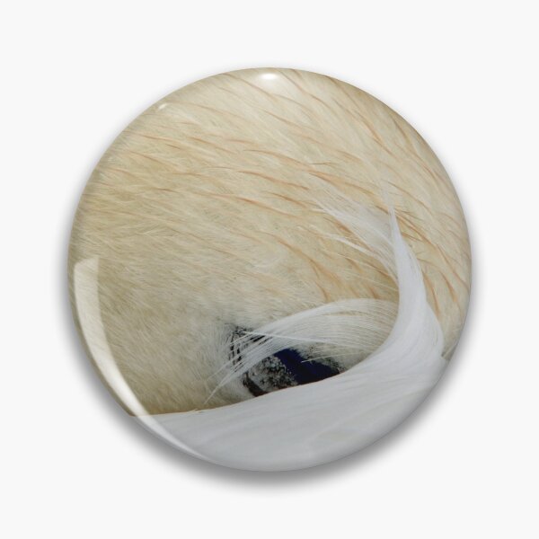 Item preview, Sleeping Swan with head folded under wing on a nearby lake in south Wales designed and sold by Cameranick.