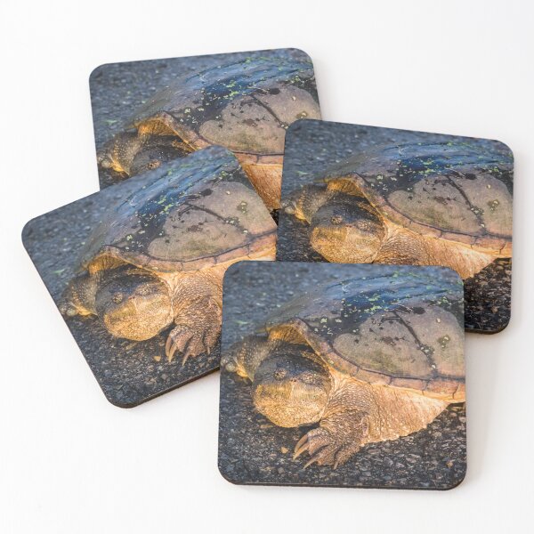 Item preview, Old Snappy designed and sold by Robert Alsop.