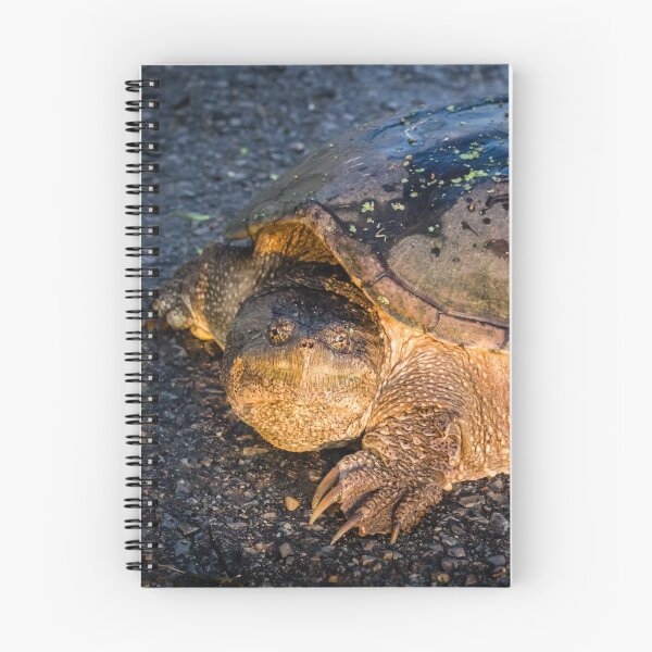 Item preview, Old Snappy designed and sold by Robert Alsop.