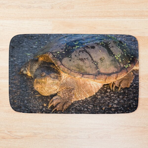 Item preview, Old Snappy designed and sold by Robert Alsop.