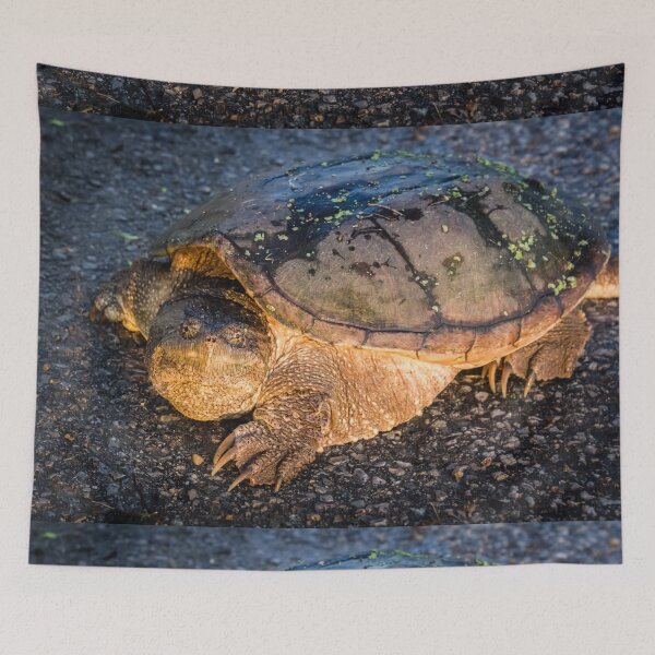 Item preview, Old Snappy designed and sold by Robert Alsop.