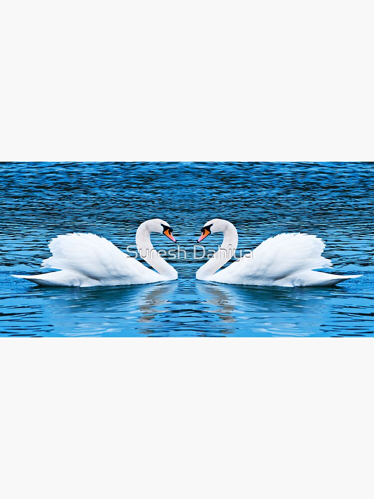 "Endless Love Birds Forever" Sticker for Sale by SureshDahiya Redbubble