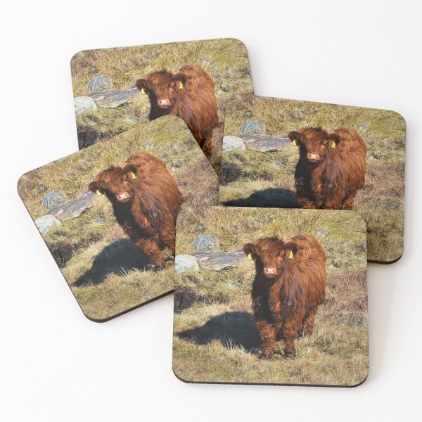 Item preview, Highlander in the Making  designed and sold by jmnicolson.