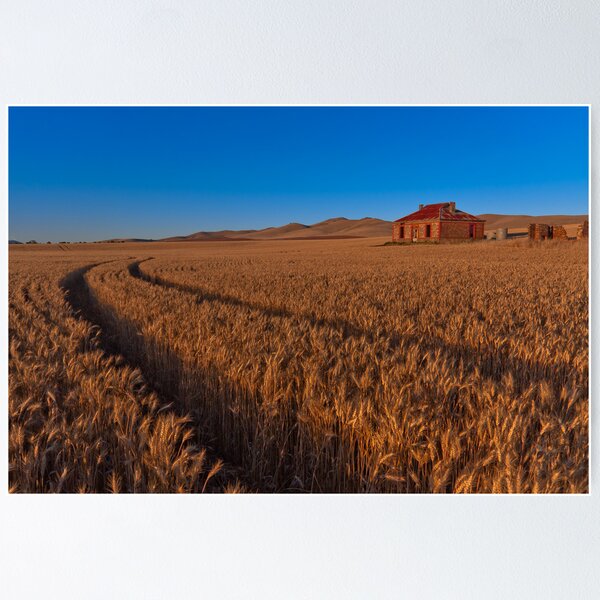 Sunset on Burra Homestead Ruin Poster
