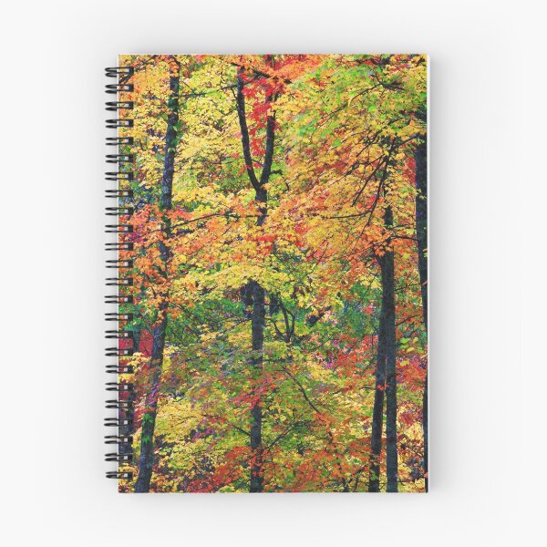 Item preview, FOREST,AUTUMN designed and sold by Chuck Wickham.