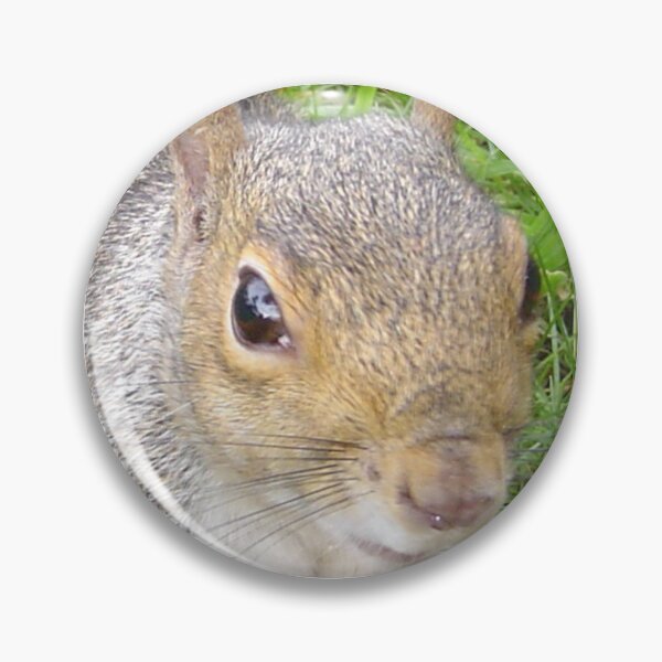 Item preview, Squirrels of Wimbledon 12 - in your face too designed and sold by ellenhenry.