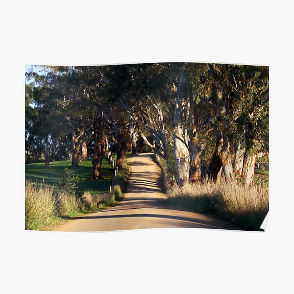 ~ Country Road ~ Poster