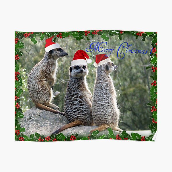 Merry Christmas To My Bubble Friends. Poster
