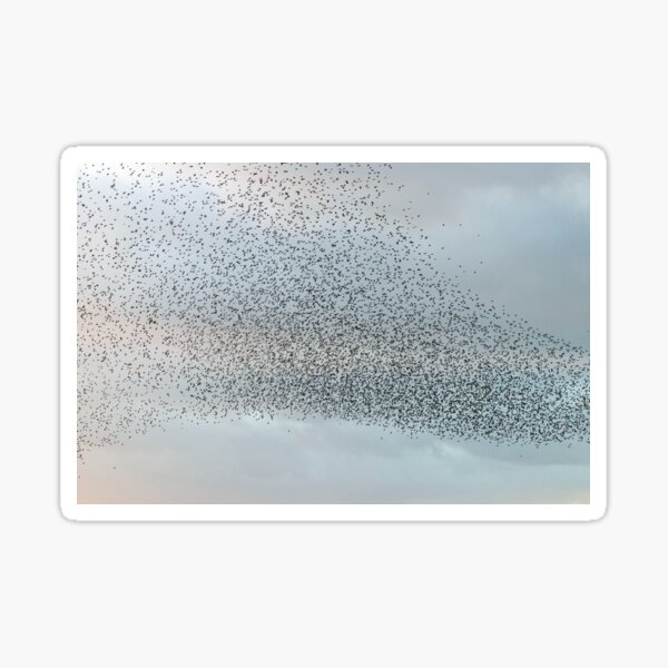 Item preview, Starling cloud designed and sold by GreyFeatherPhot.