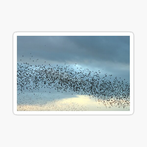 Item preview, Brush strokes in the sky designed and sold by GreyFeatherPhot.