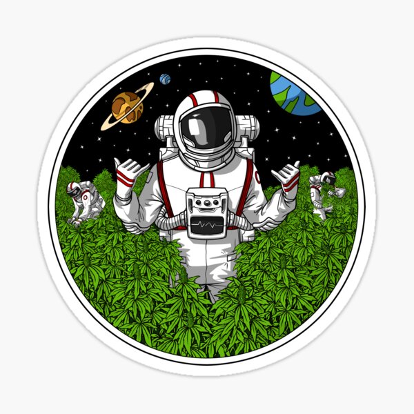 iDream NASA Space Astronaut Rocket Vinyl DIY Sticker for Laptop