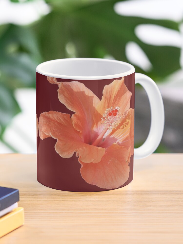Hibiscus Flower Flor de hibisco Rosa de Jamaica