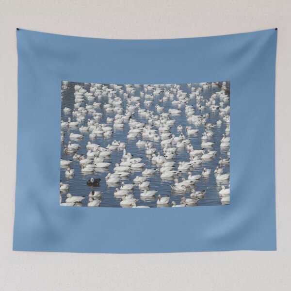 Item preview, Snow Geese & Friend designed and sold by Sandra Fortier.