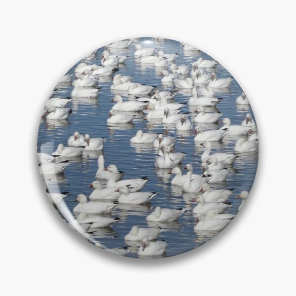 Item preview, Snow Geese & Friend designed and sold by Sandra Fortier.