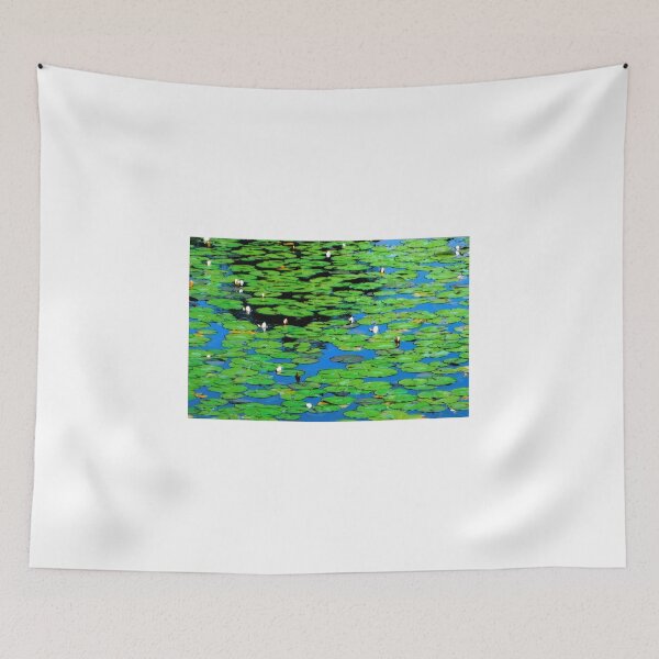 Item preview, Water Lilies. Ginkaku-ji Temple Park (銀閣寺), Kyoto, Japan designed and sold by Igor Pozdnyakov.