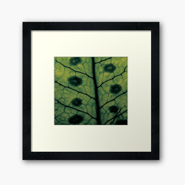 Item preview, Macro fern leave designed and sold by Pacesyte.