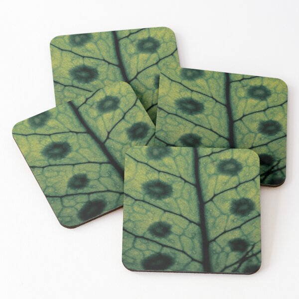 Item preview, Macro fern leave designed and sold by Pacesyte.