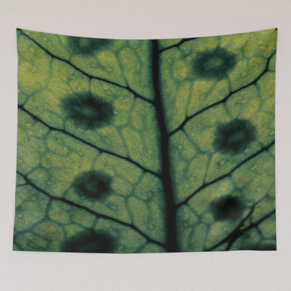 Item preview, Macro fern leave designed and sold by Pacesyte.