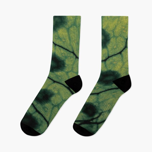 Item preview, Macro fern leave designed and sold by Pacesyte.