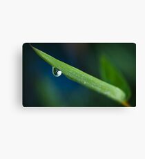 Water Droplet at Close Canvas Print
