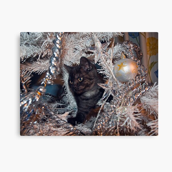 Pandora - Who opened the box? Canvas Print