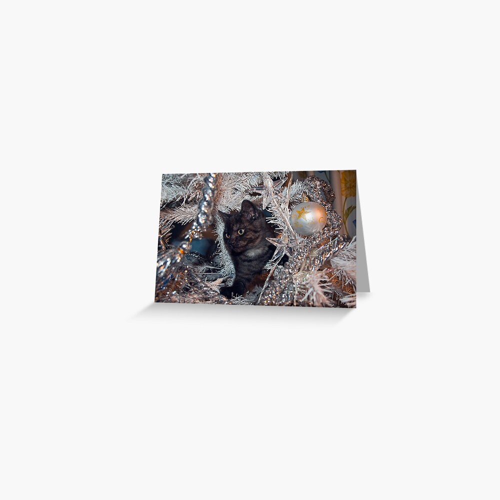 Pandora - Who opened the box? Greeting Card