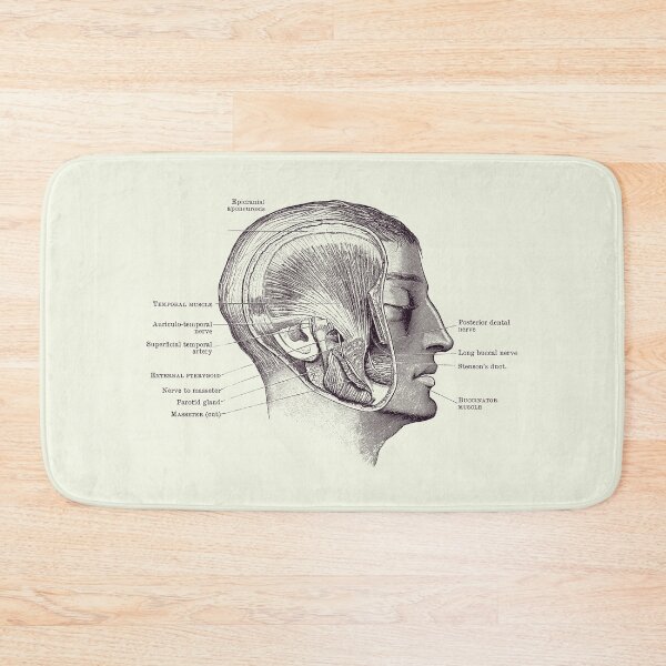 Item preview, Face Muscular Diagram - Vintage Anatomy Print 2 designed and sold by VAposters.