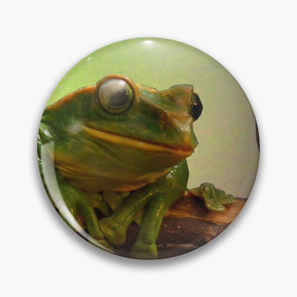 Item preview, Cheeky Frog designed and sold by Sandra Willis.
