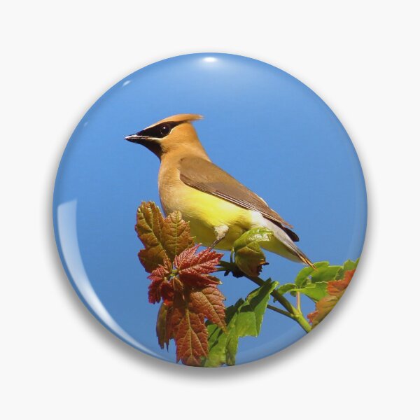 Item preview, Cedar Waxwing designed and sold by square1studio.