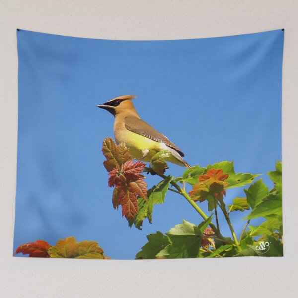 Item preview, Cedar Waxwing designed and sold by square1studio.