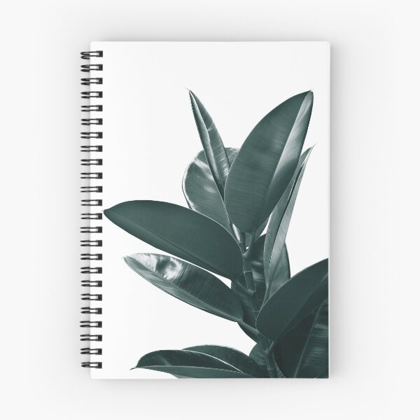Item preview, Ficus Delight #1 #tropical #decor #art designed and sold by Anita's & Bella's Art.