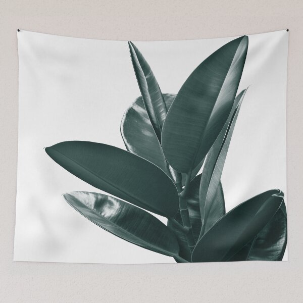 Item preview, Ficus Delight #1 #tropical #decor #art designed and sold by Anita's & Bella's Art.