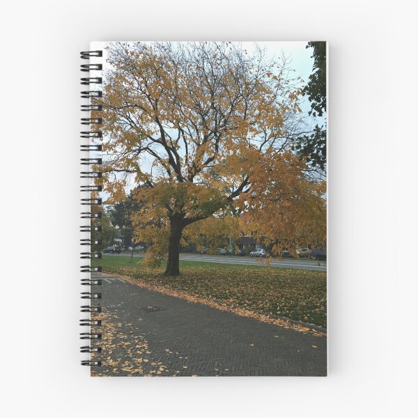 Item preview, Amarillo de Otoño designed and sold by RDLT.
