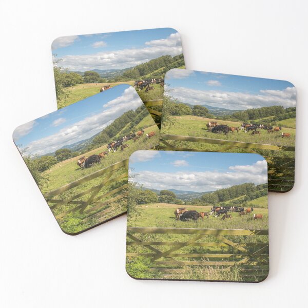 Item preview, Central Brecon Beacons Meadow in Summer designed and sold by Cameranick.
