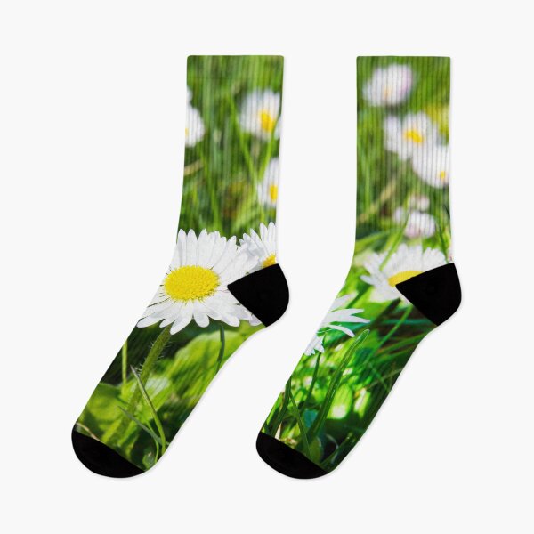 Item preview, Daisies in the sunlight designed and sold by bartlehalpin.