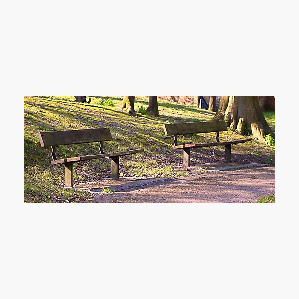 Benches Photographic Print