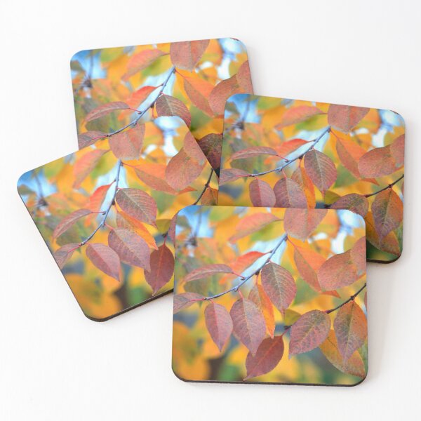 Item preview, colorful autumn leaf changing color designed and sold by olena2552.