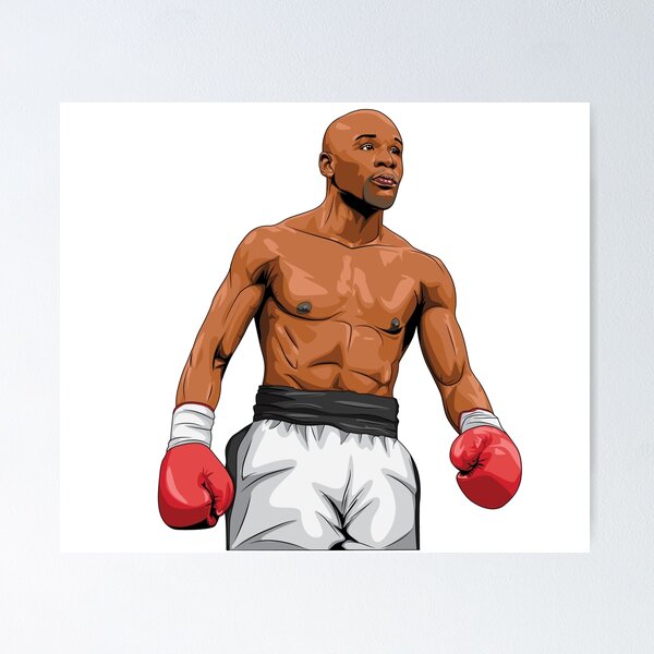  Floyd Mayweather Jr Professional Championship Boxer Fabric Wall  Scroll Poster (16 x 22) Inches: Prints: Posters & Prints