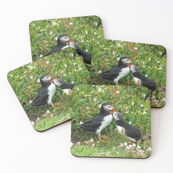Item preview, Puffins having a kiss on Skomer Island Pembrokeshire. Absolutely amazing and fun birds to watch!  designed and sold by Cameranick.
