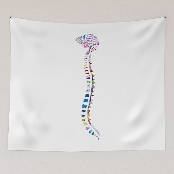 Item preview, Funfetti Brain and Spine (White background) designed and sold by Alane Fideler.