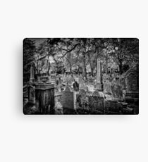 Beautiful Resting Place Canvas Print